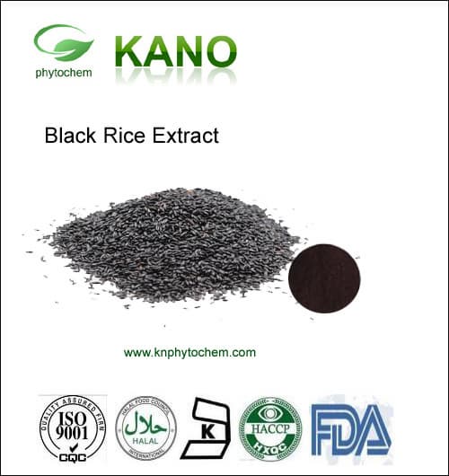 Black Rice Extract 5__40_Anthocyanidin by UV